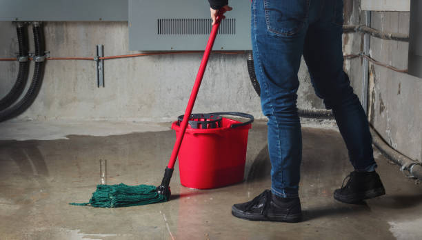 Best Mold removal after water damage  in North Las Vegas, NV