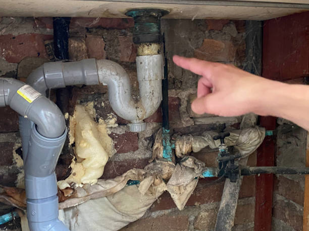 Best Local water damage restoration  in North Las Vegas, NV